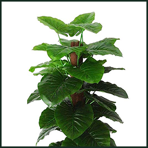 Small manufacture image 5