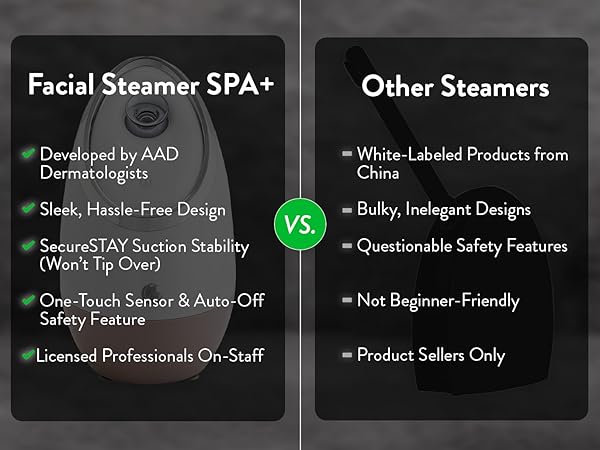 professional facial steamer