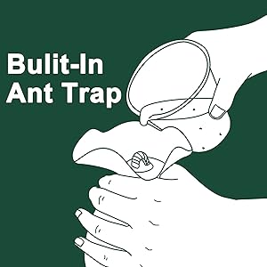 Amazon.com : Muse Garden Hummingbird Feeder for Outdoors, Hand Blown ...