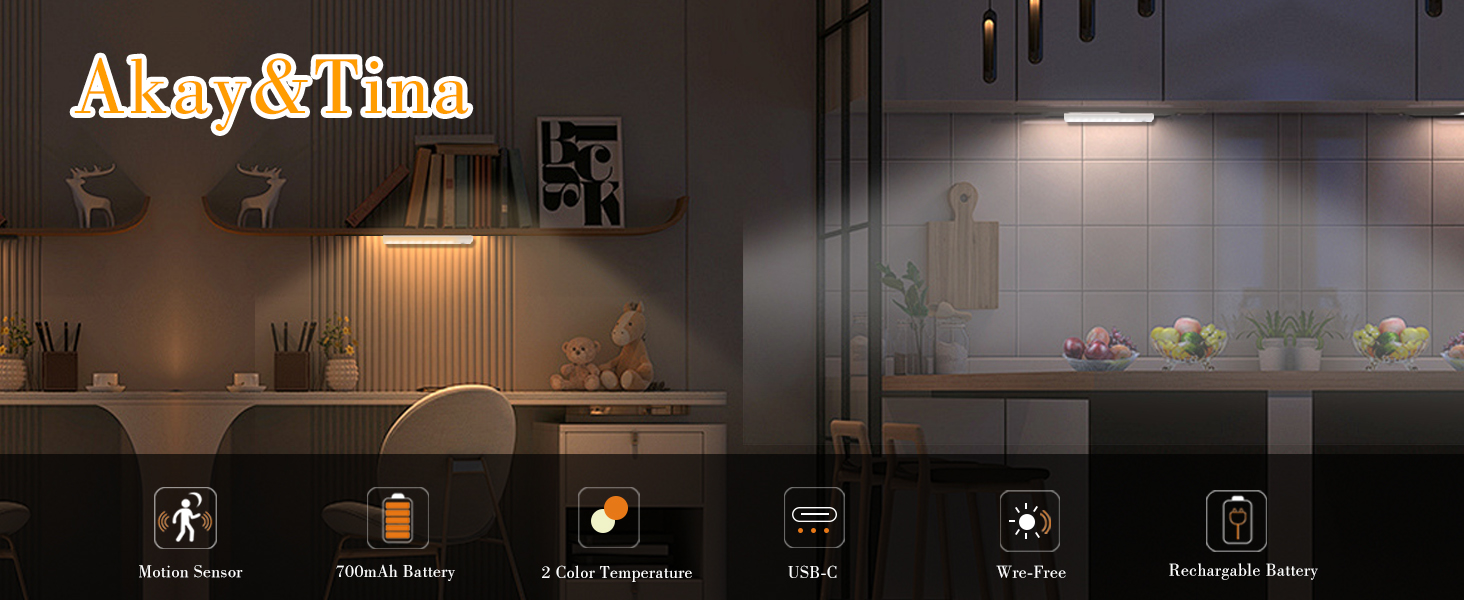 motion sensor light