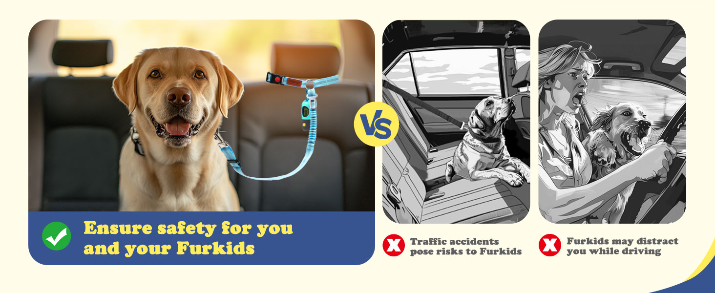 dog car restraints for seat belt