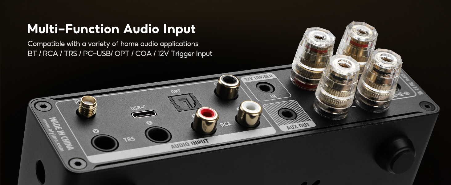 AIYIMA Audio Amplifier