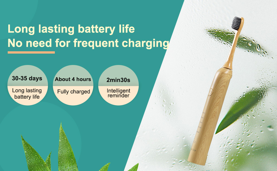 Built-in 2-minute timer with 30-second intervals ensures dentist-recommended brushing