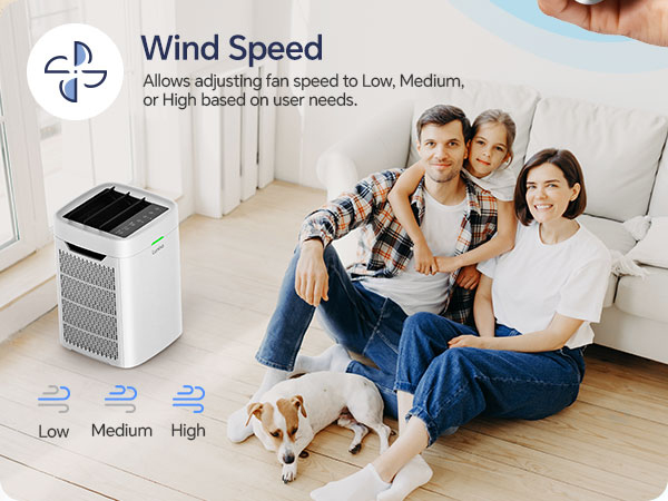 air purifier for home