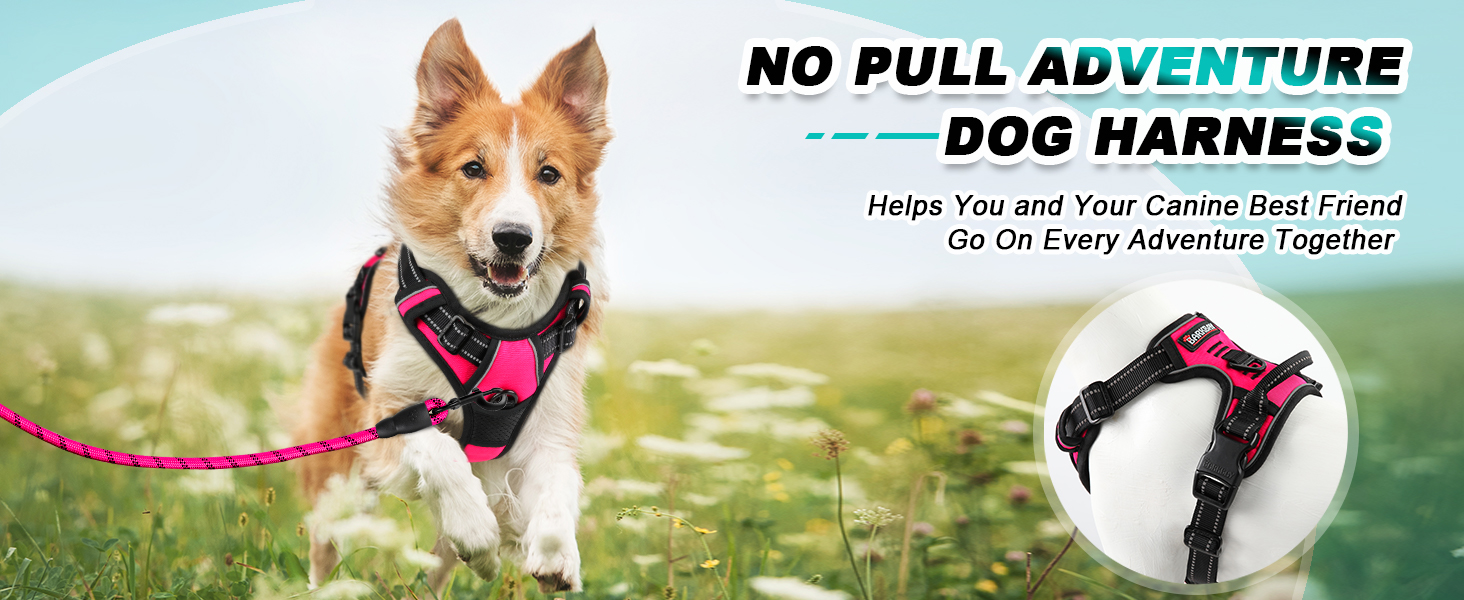 dog harness medium no pull dog harness small breed puppy harness dog leashes for extra small dogs