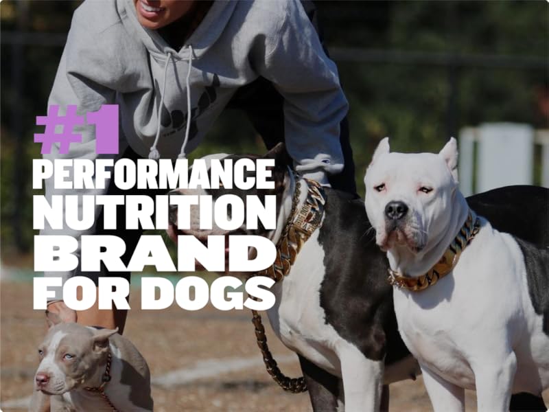 dry food small breed puppy food small bites dry dog food small bites dog food