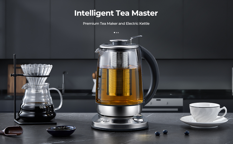 Kettles Electric, Temperature Control Kettle with Filter, AMEGAT Smart