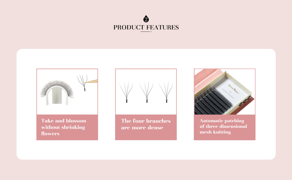 4D Eyelash Extensioon