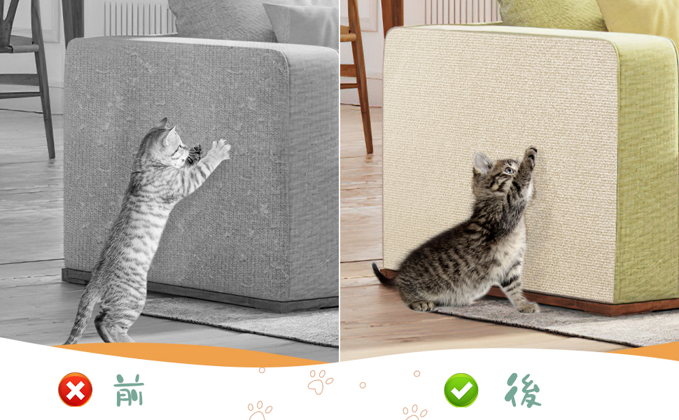 人気の猫の補充