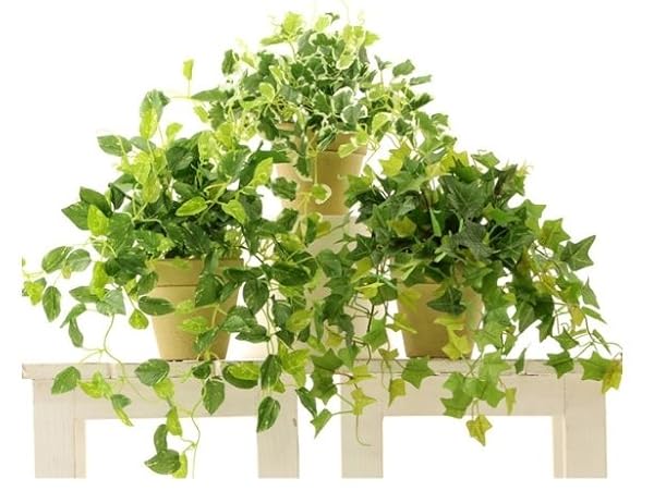 光触媒　人工観葉植物　ウォールグリーン　フェイクグリーン　アイビーポトス1204 光触媒 人工観葉植物 ウォールグリーン フェイクグリーン