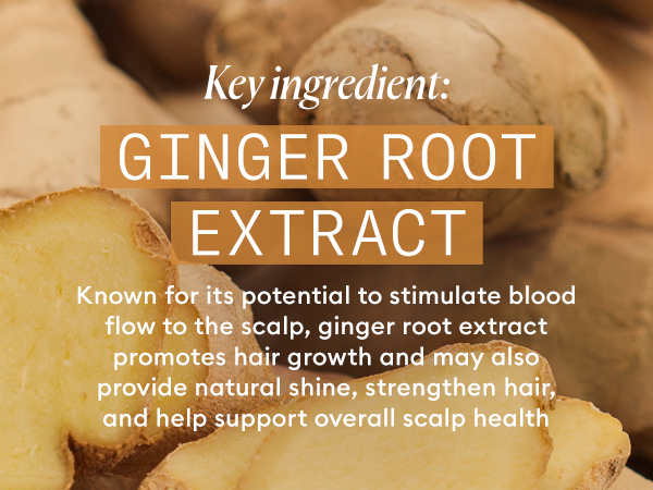 Ginger Root Extract Module Mobile