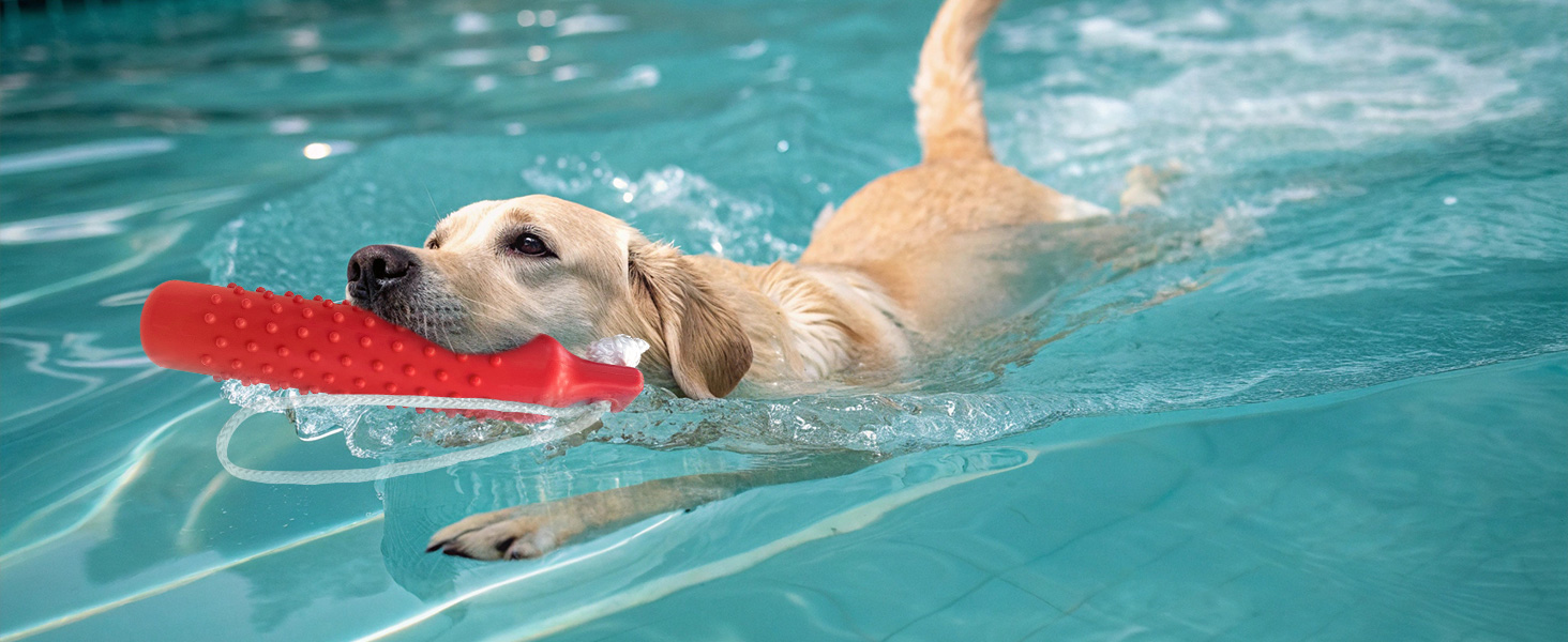 Dog Float Bumper Toy