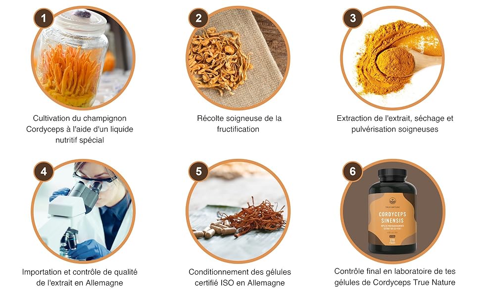 Cordyceps Sinensis Ultra Puissant - 6500mg (10:1) - 270 Gélules Végétales - Performance Sportive & Bien-Être - 40% Polysaccharides Bioactifs - Vegan, Sans Additifs, Gluten, Lactose - TRUE NATURE