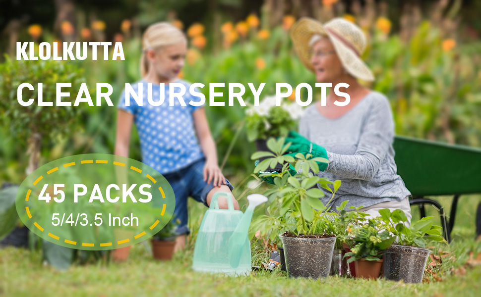 clear plant nursery pots