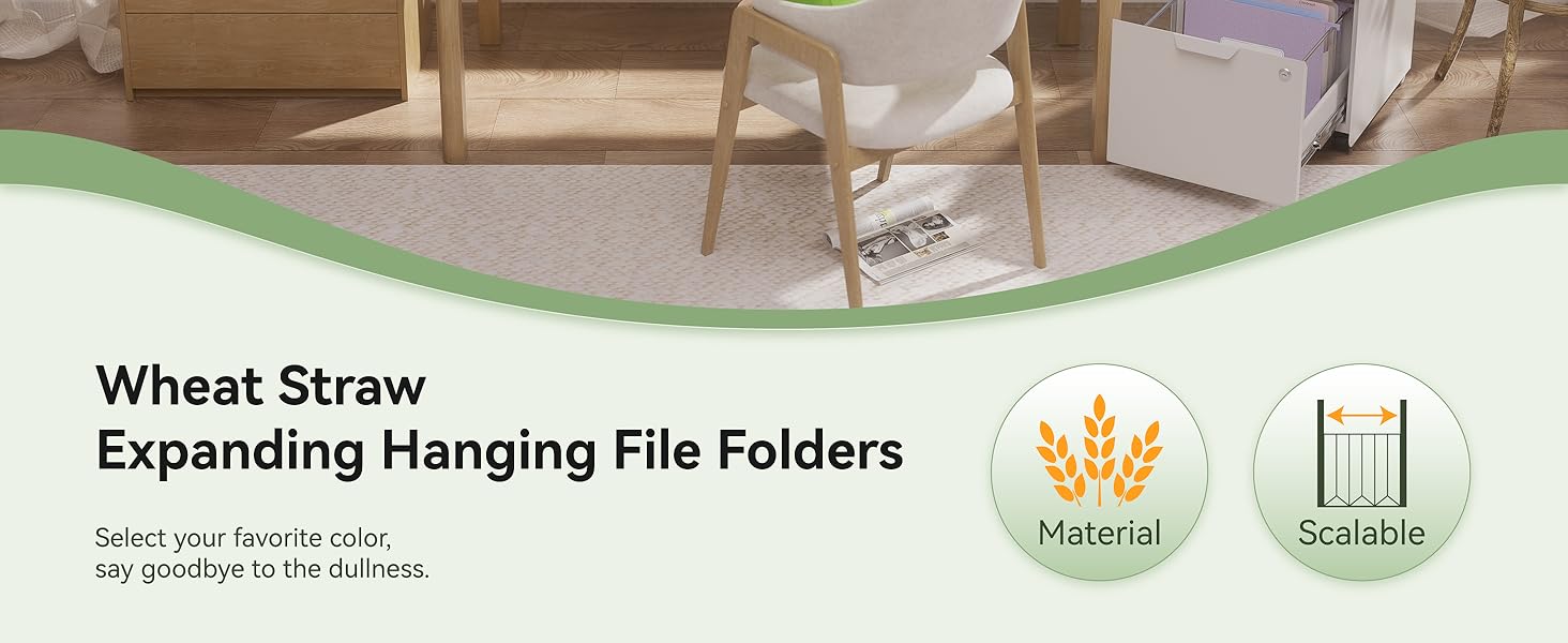 Expanding Hanging File Folders - 4.72; Large Capacity, Letter Size for Filing Cabinets