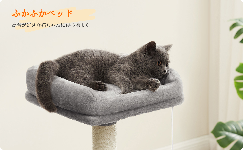 Amazon | FEANDREA キャットタワー 大型猫用 安定感 コンパクト