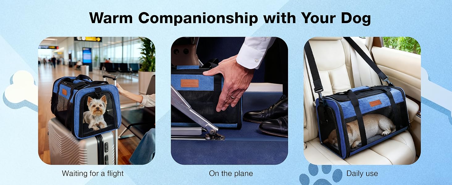 dog carriers for small dogs airline approved