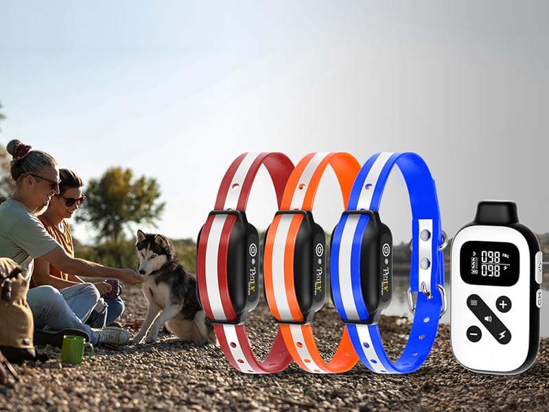 Bark and Training Collar Combo