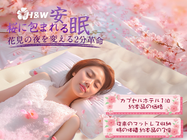 限定ブランドエアーベッド 電動ポンプ内蔵25cm厚&amp;90秒自動膨張H&amp;W 電動 Amazon.co.jp: 【Amazon 限定ブランド】エアーベッド 電動ポンプ