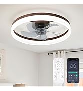 FTZVRD Ceiling Fans with Lights, 20