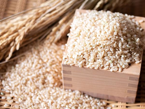 Amazon.co.jp: 乾燥米麹 あめこうじ 800g(200g×4袋) 小分け あめ