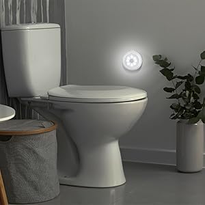 toilet  light