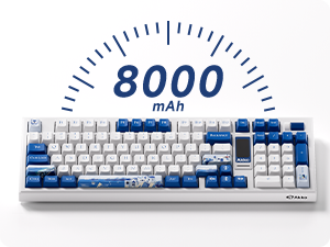 8000 mAH