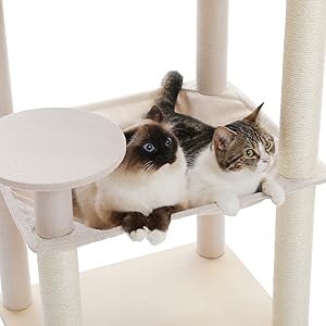 猫の塔