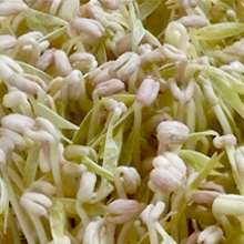 Small manufacture image 6