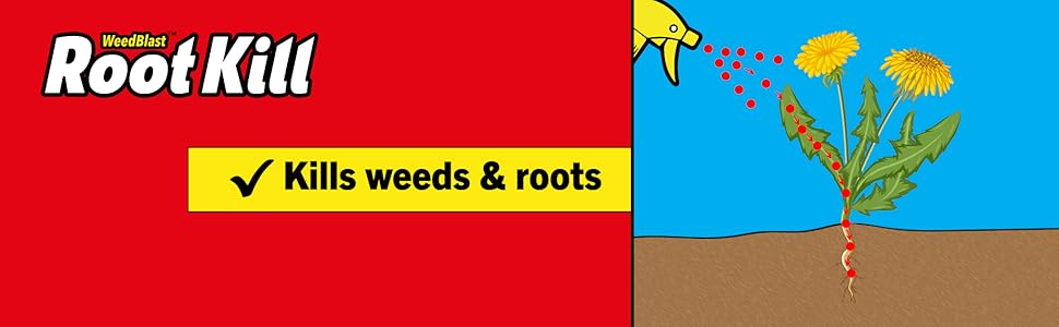 Root Kill product advertisement. Red package with text 'Kills weeds & roots'. Illustration shows dandelion plant being eliminated from soil.