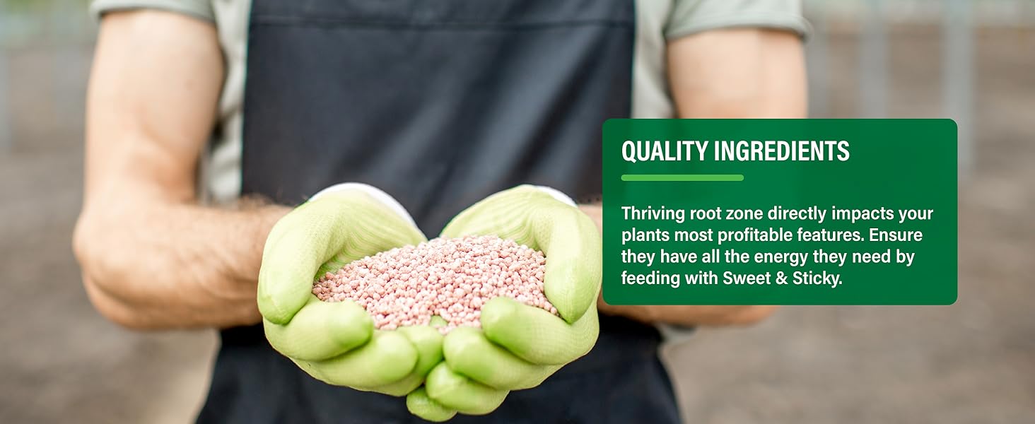 Quality ingredients
