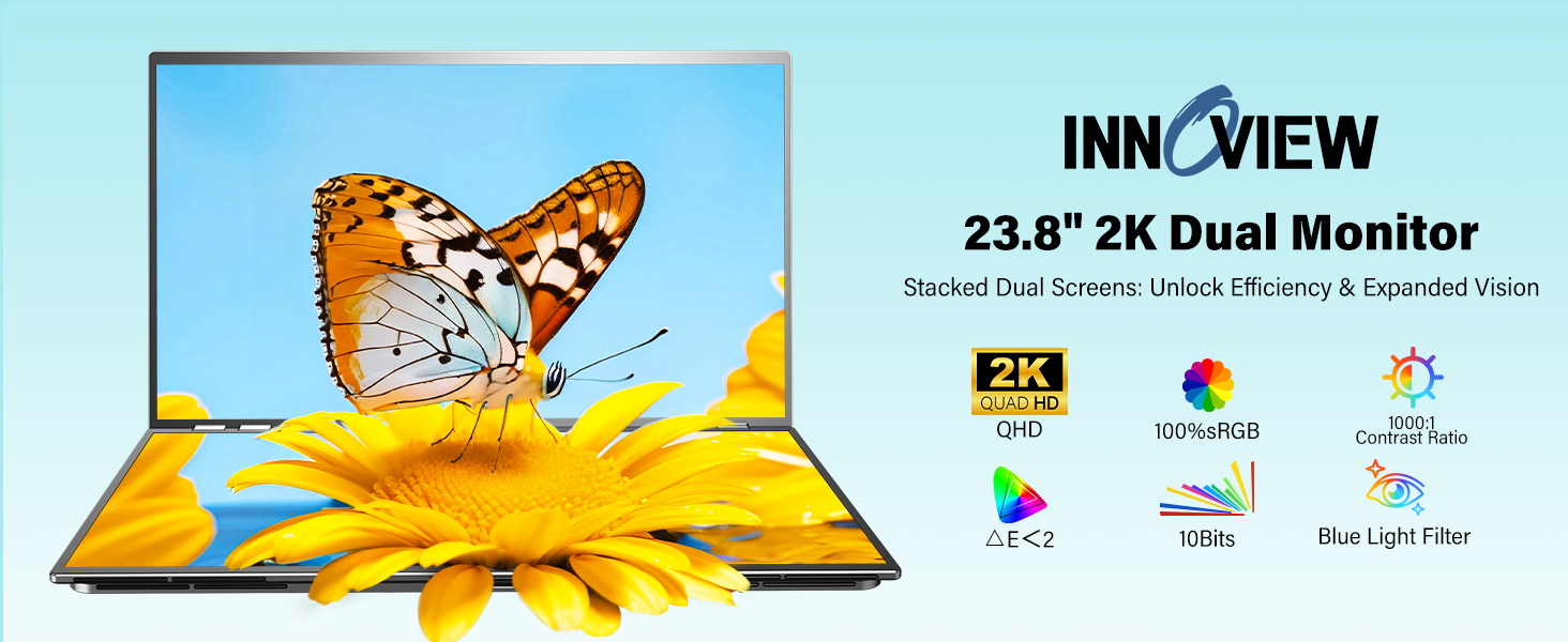 portable dual monitor