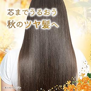 Amazon | LUX(ラックス)スーパーリッチシャイン とろとろ