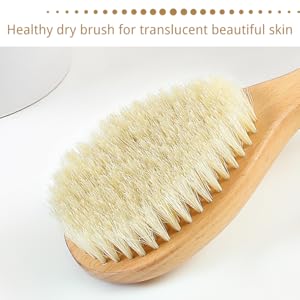 Healthy dry brush for translucent and beautiful skin