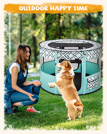 Text reads 'OUTDOOR HAPPY TIME'. Multiple images showing outdoor activities with a dog on grass, featuring play and interaction scenes.