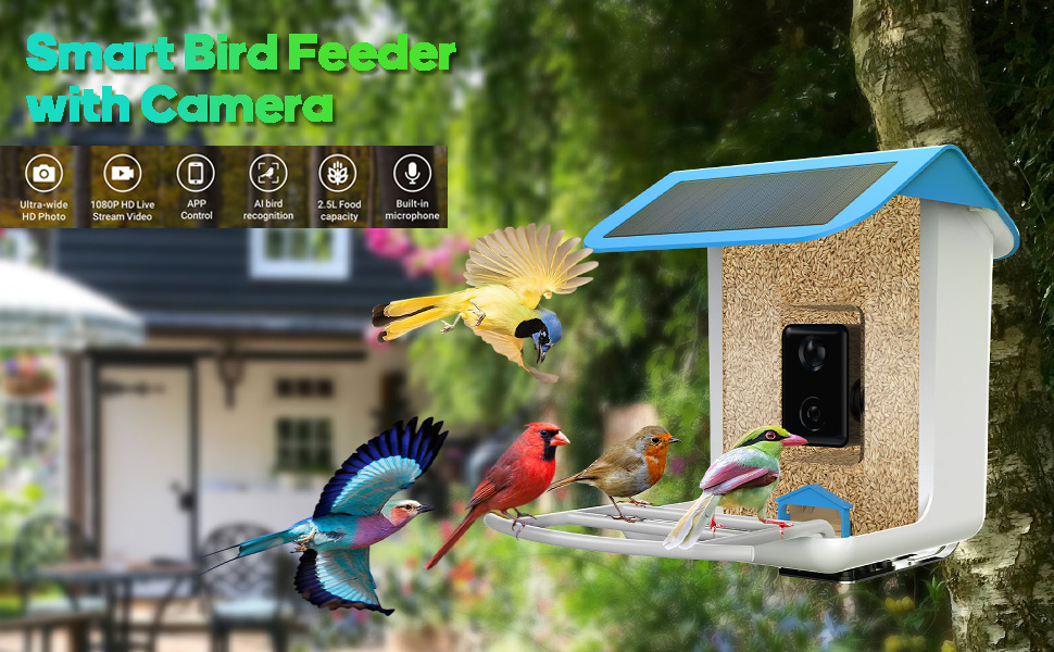 Bird Feeder with Camera,Bird Feeder with Camera Wireless