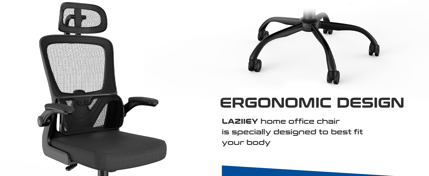 Laziiey Home Office Desk Chairs Ergonomic Chair with Lumbar