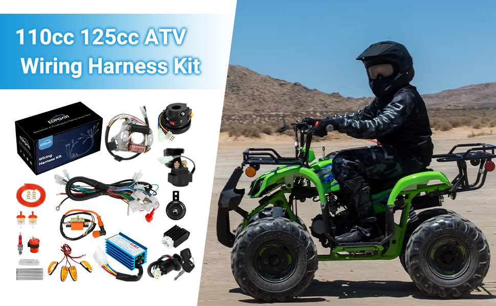Amazon.com: EOPOAYI Complete Wiring Harness Kit Compatible