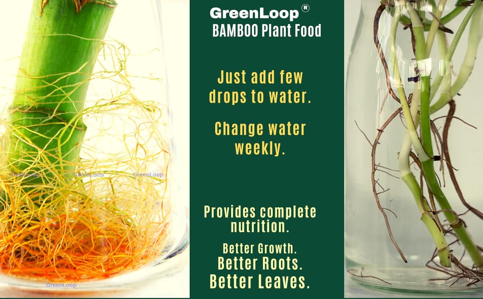 Large manufacture image 5