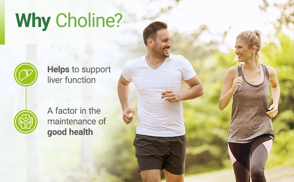 Nested Naturals Choline Bitartrate 500mg High Potency Choline