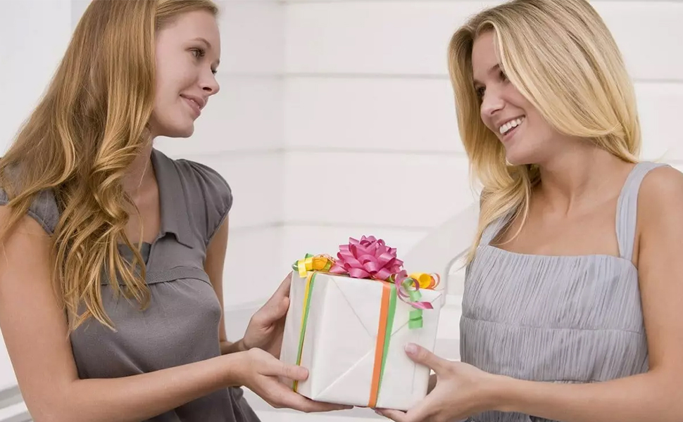 4 Stück Pferdeschwanz Haarklammer 