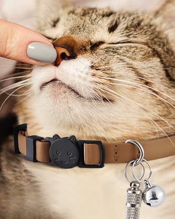 cat collars