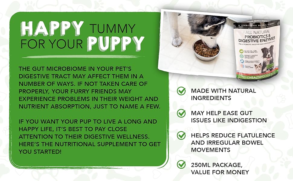 The Healthy Dog Co Probiotics for Dogs Cat and Dog Probiotic