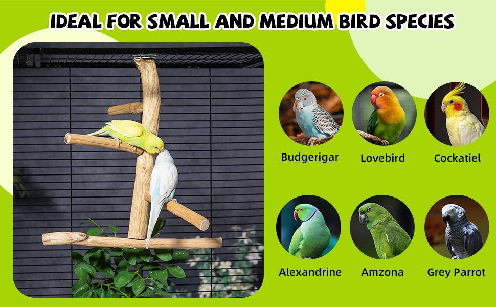 For small &amp; medium parrots: Budgies | Cockatiels | Conures | Lovebirds