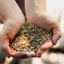 Small manufacture image 4