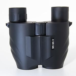 WHISRIV Starter Model