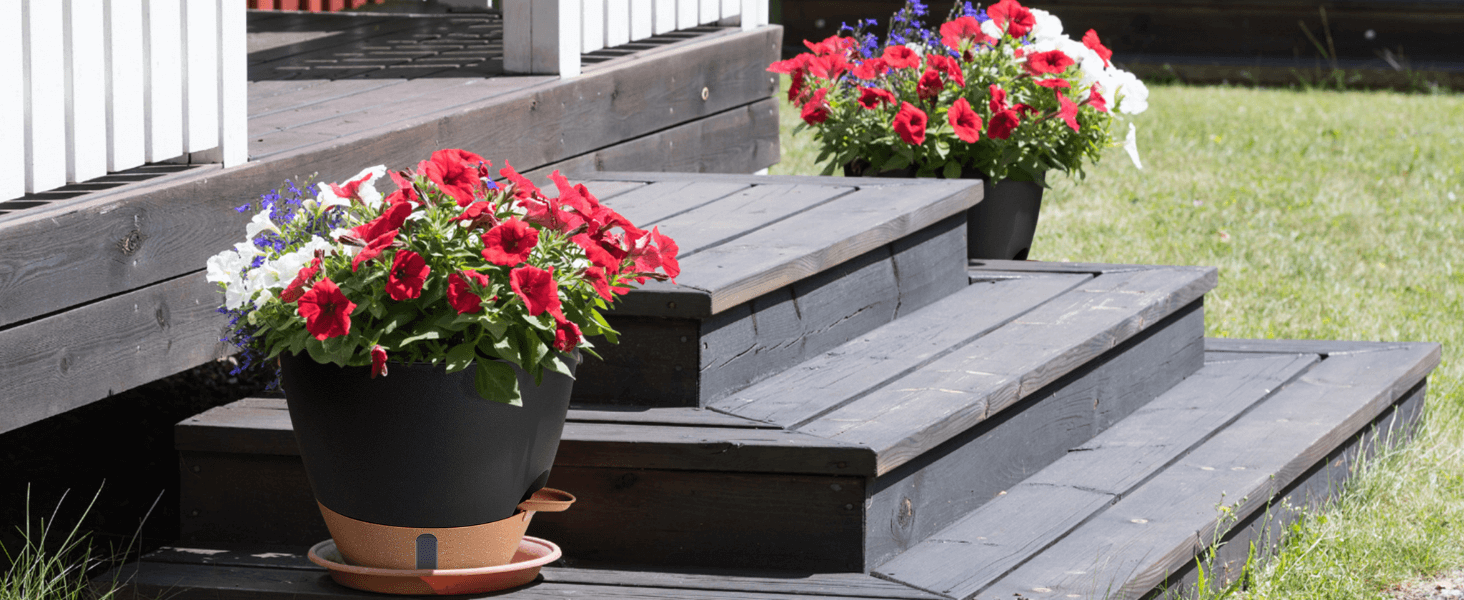 large pots for plants indoor