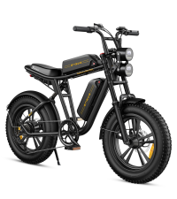 Ebike