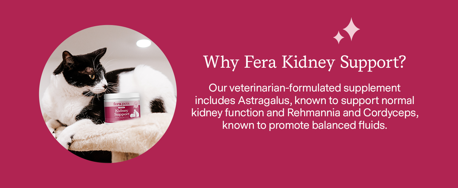 Includes Astragalus, to support kidney function. Rehmannia & Cordyceps, to promote balanced fluids
