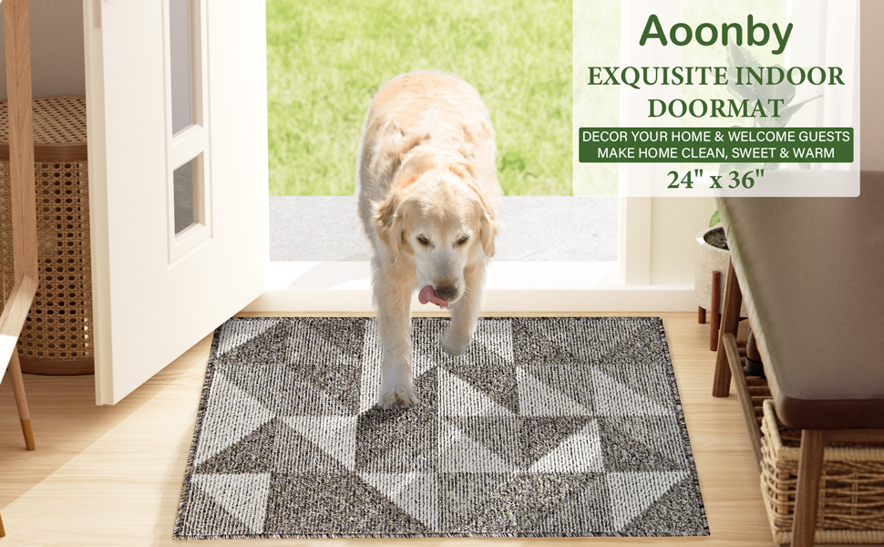 Amazon.com: Indoor Doormat 24